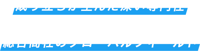 成り立ちが生んだ深い専門性と総合商社のグローバルフィールド